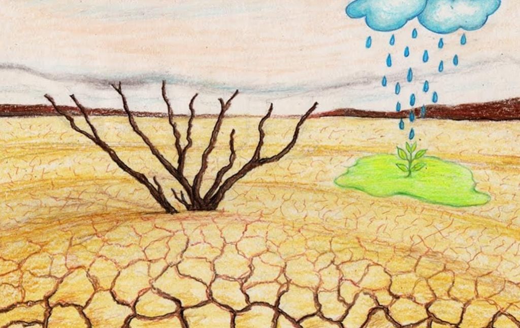 ಮಡಿಕೇರಿಯಲ್ಲಿ ಪ್ರಬಂಧ ಹಾಗೂ ಚಿತ್ರಕಲಾ ಸ್ಪರ್ಧೆ | ಜೂನ್ 1